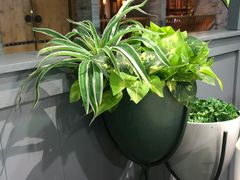 -潮牛壹号鲜牛肉火锅(世界城广场店)