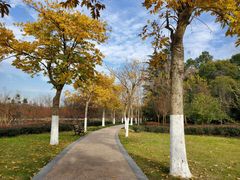 -昆山城市生态森林公园