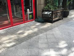 -Stone Motion释动健身