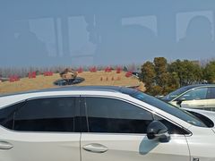 -合肥滨湖国家森林公园