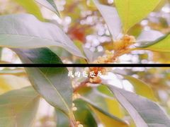 -杭州君悦酒店