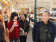 -澳门威尼斯人综合度假区