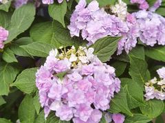 -MONICH牛排融合餐厅(和义大道购物中心店)