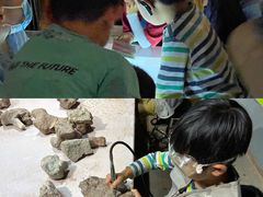 -世界恐龙谷景区