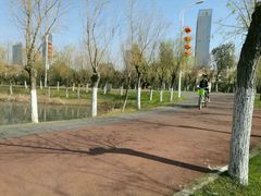 -艾溪湖湿地公园