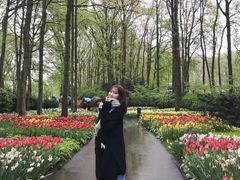 -库肯霍夫公园