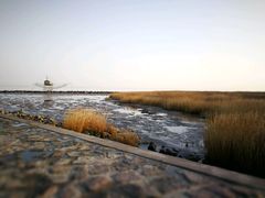 -南汇嘴观海公园