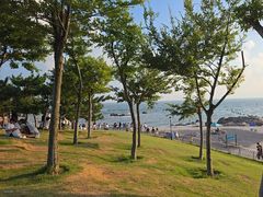 -小麦岛公园