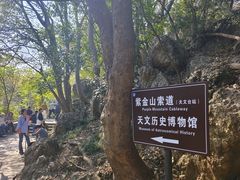 -紫金山天文台