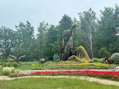 -盐城丹顶鹤湿地生态旅游区
