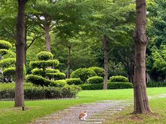 -白鹭洲公园
