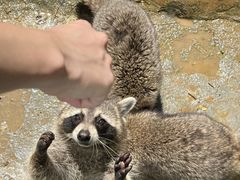 -杭州野生动物世界