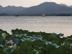 -湖畔居茶楼(湖滨店)