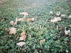 -大望京儿童游乐场