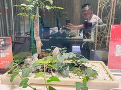-御仙都北京菜馆·烤鸭店(双井店)