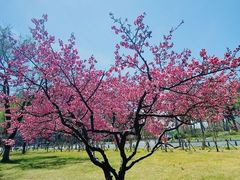 -幸福门