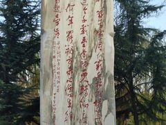 -金城公园