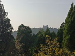 -原山国家森林公园