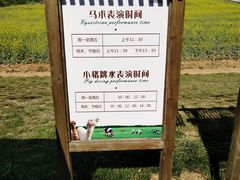 -大连铭湖国际观光牧场