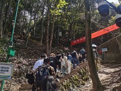 -灵顺寺