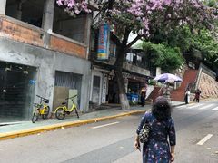 -溪岸路花鸟市场
