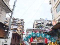 -猫咪博物馆(顶澳仔猫街店)