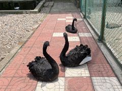 -南京金牛湖风景区