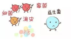 -邢台妇产医院