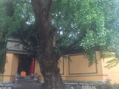 -无锡惠山寺