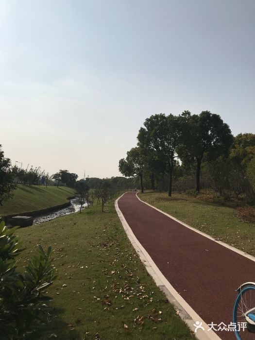 上海欢乐谷-停车场图片