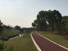 -上海欢乐谷-停车场