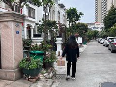 -碧江金楼