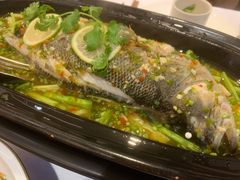 明炉鲜鱼-阿诺泰·泰国餐厅(棕北店)