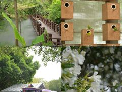 -厦门园林博览苑