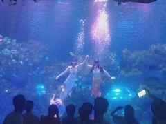 -芜湖新华联大白鲸海洋公园