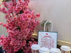 -一杯潮茶(西街店)