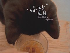 -士多咖啡·Stop Coffee