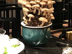 -捞王锅物料理(凯旋路店)