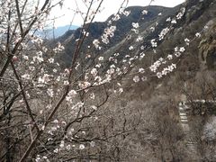 -妙峰山风景名胜区