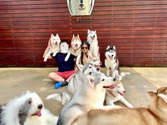 -TrueLove @ Neverland (Husky Cafe)