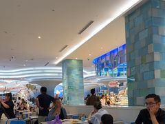 -帝企鹅自助餐厅•儿童岛•真企鹅(长隆企鹅酒店)