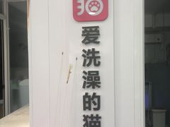 -爱洗澡的猫(望京店)