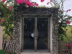 -福田红树林生态公园