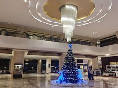 -天津滨海圣光皇冠假日酒店