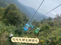 -野象谷景区