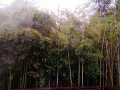 -天目湖涵田半山温泉