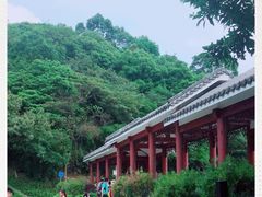 -广州市帽峰山景区