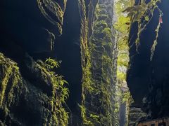 -梭布垭石林景区