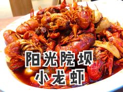 -阳光院坝小龙虾(红牌楼店)