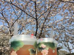 -鸡鸣赐茶(鸡鸣寺路店)